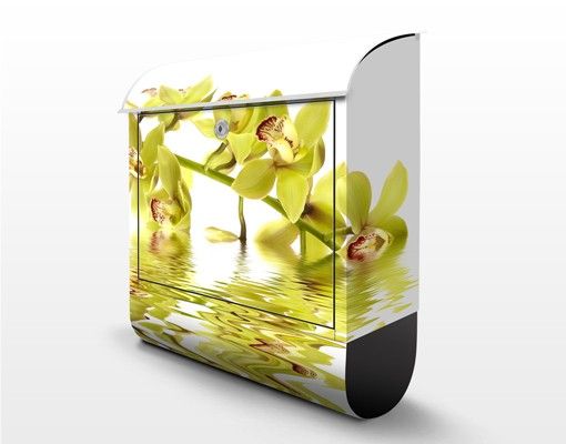 Briefkasten mit Zeitungsfach - Elegant Orchid Waters - Blumen Gelb