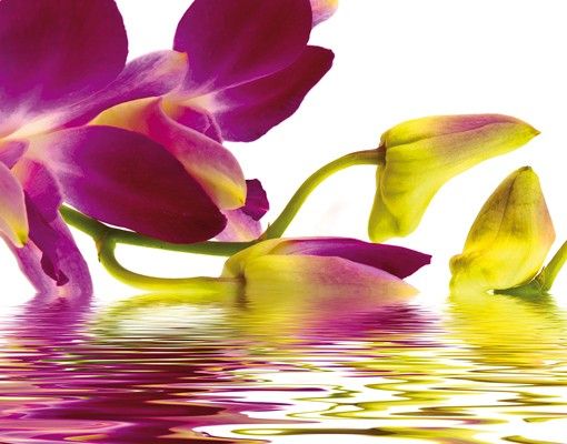 Design Briefkasten - Pink Orchid Waters - Wandbriefkasten Lila