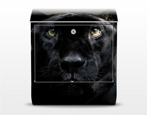Briefkasten Design Black Puma