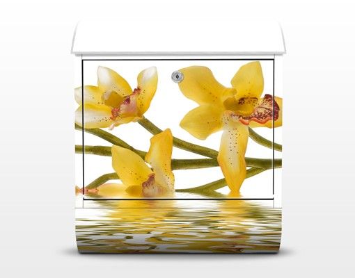 Design Briefkasten Saffron Orchid Waters