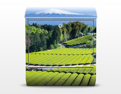 Design Briefkasten Teefelder vor dem Fuji