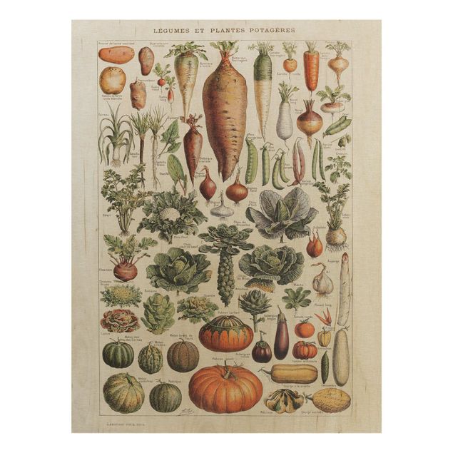 Vintage Bilder Holz Vintage Lehrtafel Gemüse