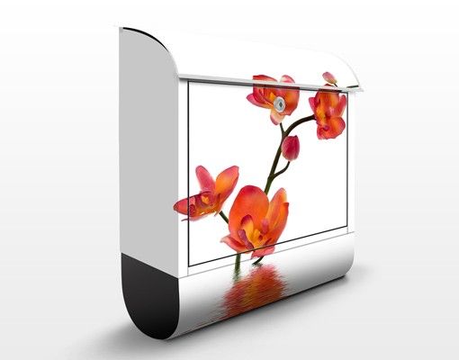 Briefkasten Blumen Flamy Orchid Waters