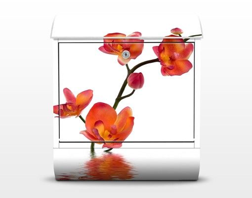 Briefkasten Design Flamy Orchid Waters