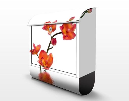 Briefkasten mit Zeitungsfach - Flamy Orchid Waters - Briefkasten Blumen