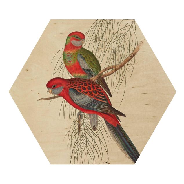 Hexagon Bild Holz - Tropische Papageien III