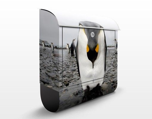 Briefkasten Tier Pinguin