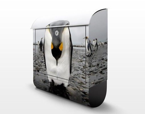 Briefkasten mit Zeitungsfach - Pinguin - Briefkasten mit Tiermotiv