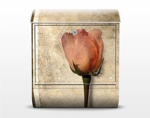 Briefkasten Vintage - Inner Rose - Briefkasten Beige mit Zeitungsrolle