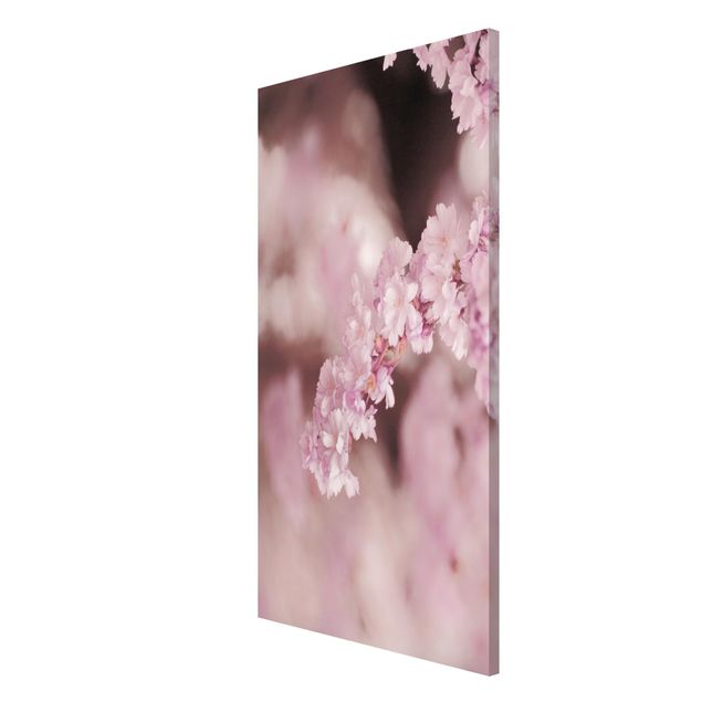 Magnettafel - Kirschblüte im Violetten Licht - Hochformat 3:4