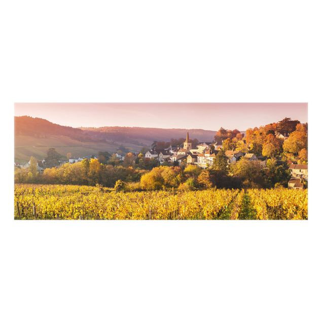 Spritzschutz - Weinberge in Frankreich - Panorama 5:2