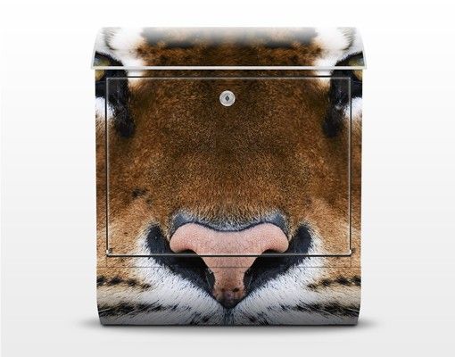 Design Briefkasten Tiger Eyes