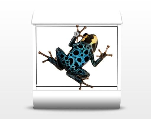 Design Briefkasten Poison Dart Frog