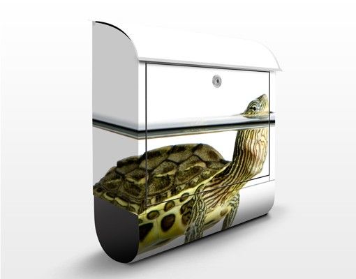Briefkasten Tier Schildkröte