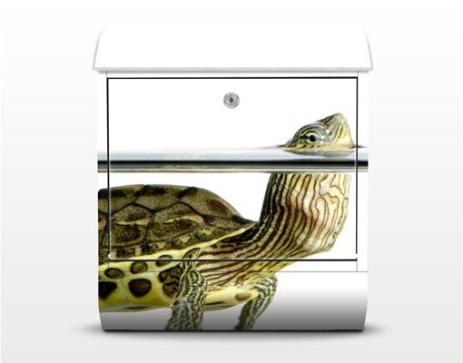 Briefkasten Design Schildkröte