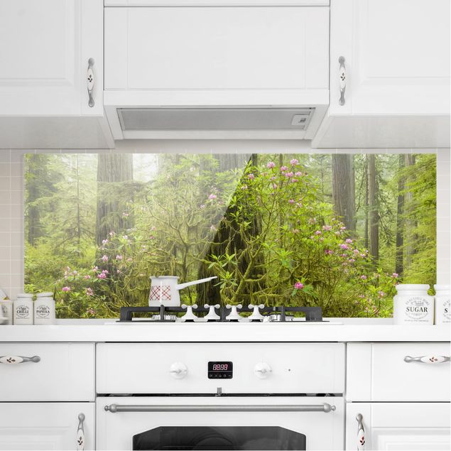 Glasrückwand Küche Wald Del Norte Coast Redwoods State Park Kalifornien