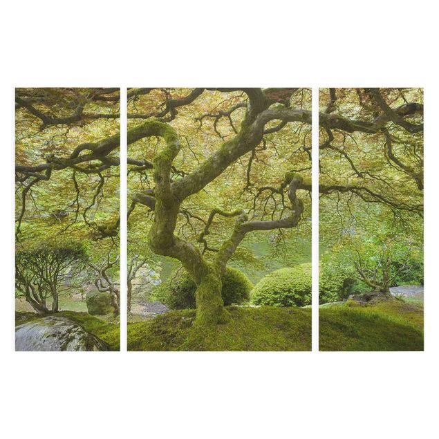 Leinwandbild 3-teilig - Grüner Japanischer Garten - Triptychon