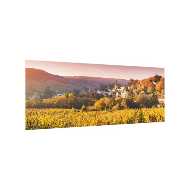 Spritzschutz - Weinberge in Frankreich - Panorama 5:2