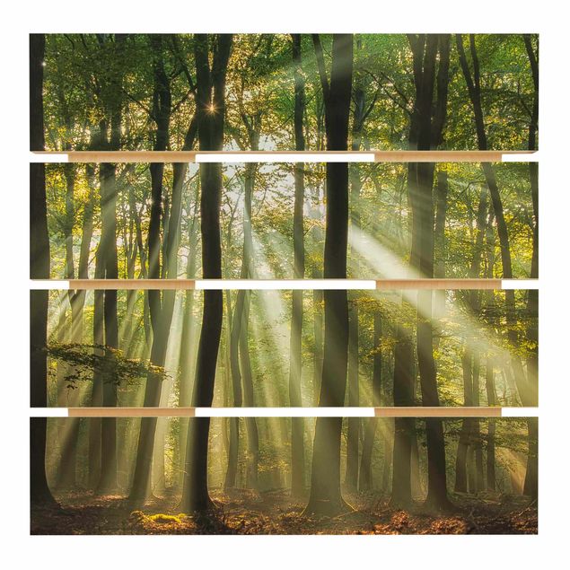 Holzbild - Sonnentag im Wald - Quadrat 1:1