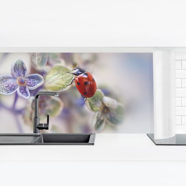 Küchenrückwand selbstklebend Marienkäfer im Garten