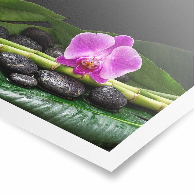Poster kaufen Grüner Bambus mit Orchideenblüte