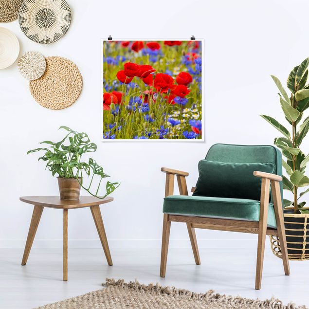 Poster Blumen Sommerwiese mit Mohn und Kornblumen