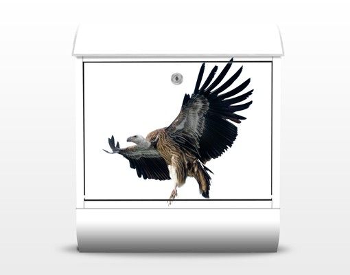 Briefkasten modern No.378 Majestic Vulture