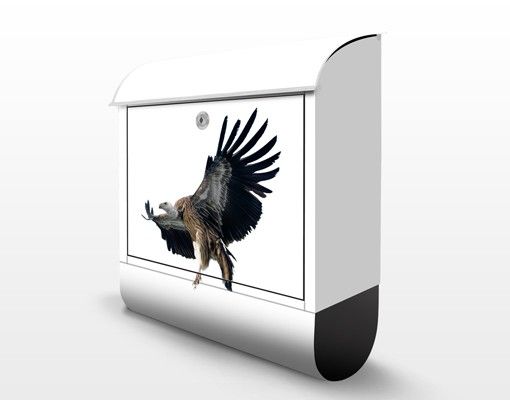Briefkasten mit Zeitungsfach - Majestic Vulture - Briefkasten mit Tiermotiv