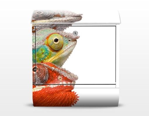 Briefkasten Design No.456 Colorful Chameleon