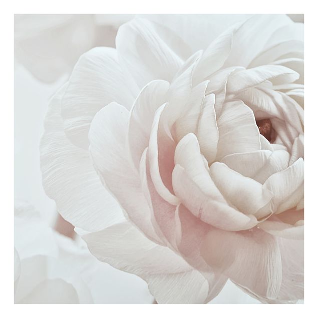 Monika Strigel Bilder Weiße Blüte im Blütenmeer