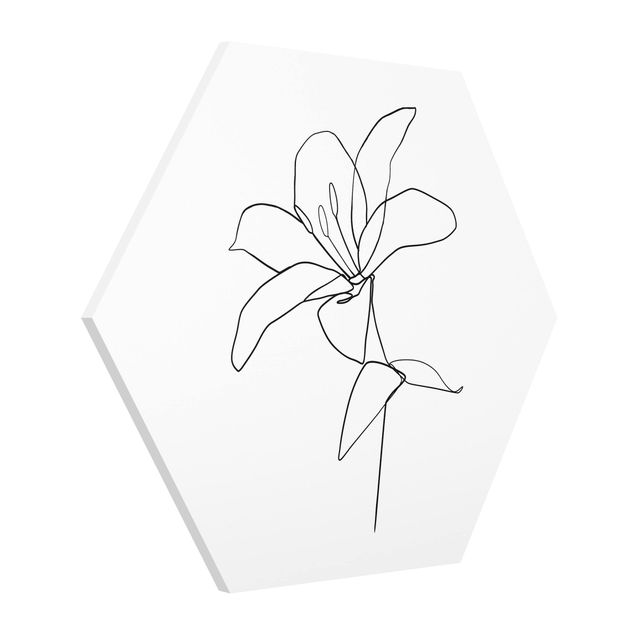 Hexagon Bild Forex - Line Art Blüte Schwarz Weiß