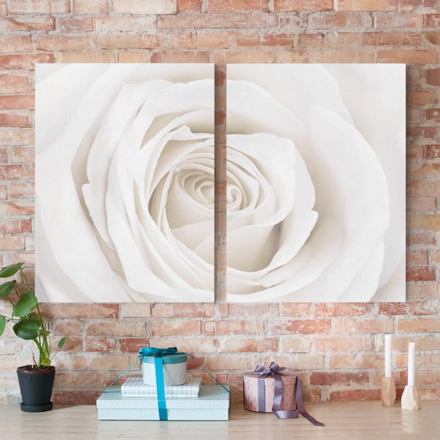 Leinwandbilder Rosen Pretty White Rose