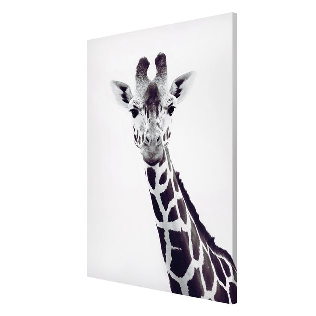 Magnettafel - Giraffen Portrait in Schwarz-weiß - Hochformat 2:3