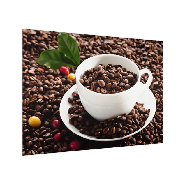 Glas Spritzschutz - Kaffeetasse mit gerösteten Kaffeebohnen - Querformat - 4:3