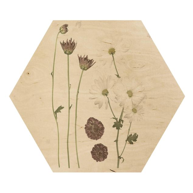 Hexagon Bild Holz - Herbarium in rosa IV