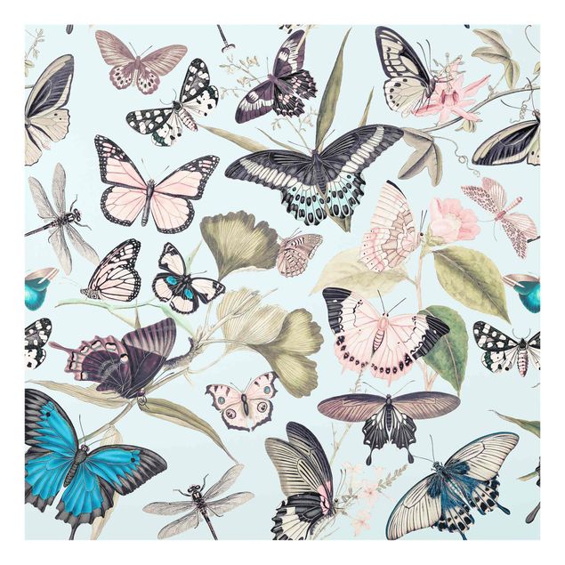 Spritzschutz Küche Vintage Collage - Schmetterlinge und Libellen