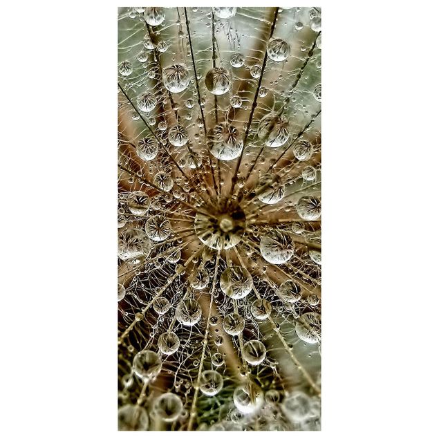 Raumteiler - Pusteblume Im Herbst 250x120cm