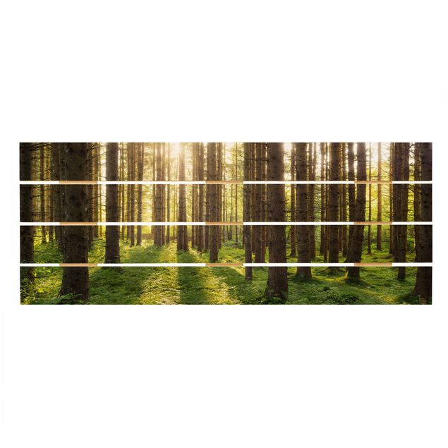 Holzbild - Sonnenstrahlen in grünem Wald - Querformat 2:5
