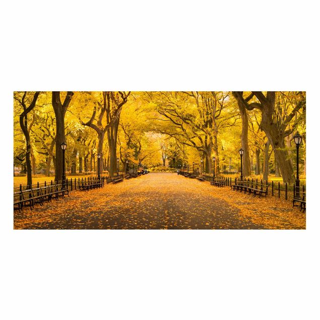 Magnettafel - Herbst im Central Park - Panorama Querformat