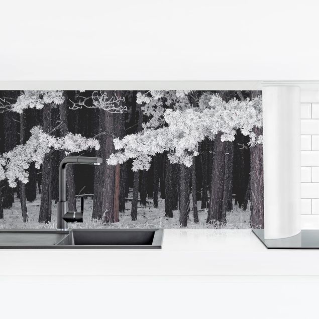 Küchenrückwand selbstklebend Wald mit Raureif in Österreich