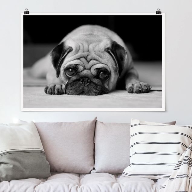Poster - Pug Loves You II - Querformat 2:3