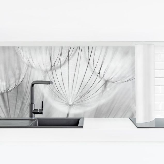 Küchenrückwand selbstklebend Pusteblumen Makroaufnahme in schwarz weiß