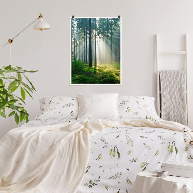 Poster Wald Enlightened Forest