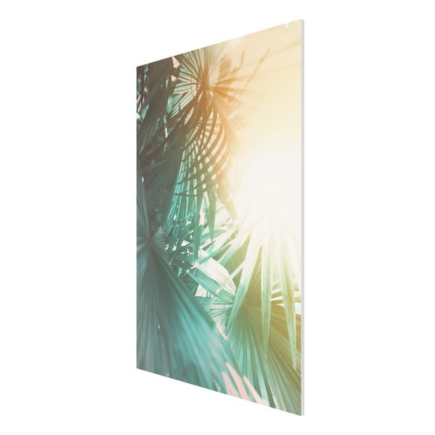 Forex Fine Art Print - Tropische Pflanzen Palmen bei Sonnenuntergang - Hochformat 3:2