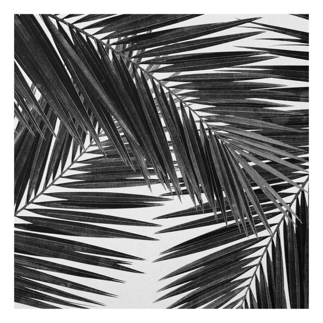 Spritzschutz Küche Blick durch Palmenblätter schwarz weiß