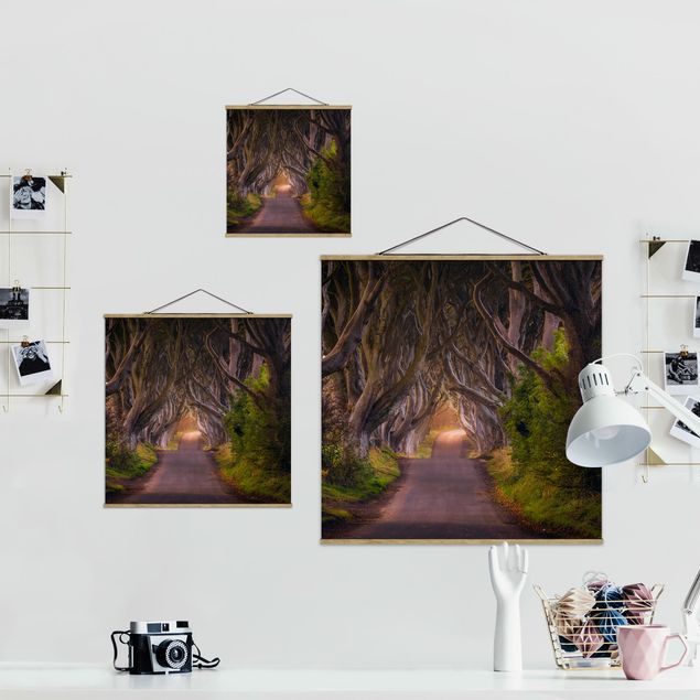Stoffbild mit Posterleisten - Tunnel aus Bäumen - Quadrat 1:1