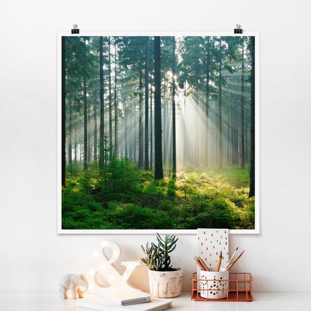 Poster - Enlightened Forest - Quadrat 1:1