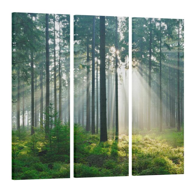 Leinwandbild 3-teilig - Enlightened Forest - Panoramen hoch 1:3