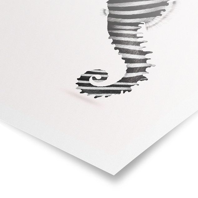 Poster - Jonas Loose - Seepferdchen mit Zebrastreifen - Hochformat 3:4