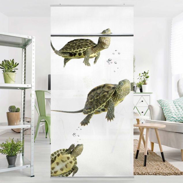 Raumteiler Tiere Schildkröten Trio